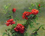 Red Roses in Soft Sunlight